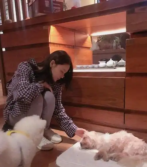 张馨予豪宅价格疑似曝光公婆身份不简单网友小号炫富