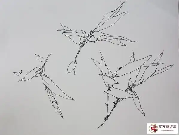 白描系列竹子一