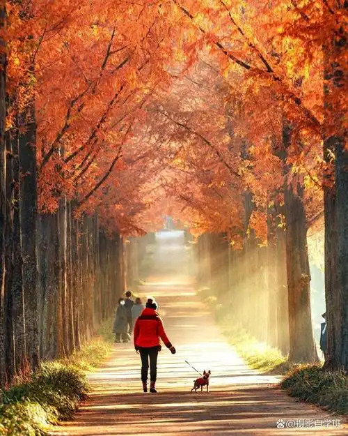 生活照咋拍出趣味,咋拍照显腿长,还有哪些算有错误不要犯?