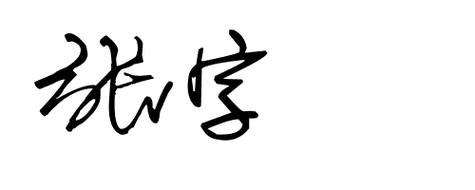 张安君名字签名签名,张怎么写好看,那些在线设计签名的,觉得那些张写