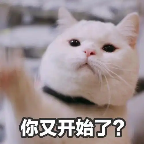 又来呆萌可爱gif动图_动态图_表情包下载_soogif