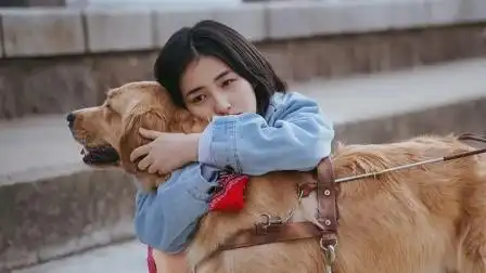 《宠爱》张子枫为吴磊将小札训练成导盲犬,为其找回自信