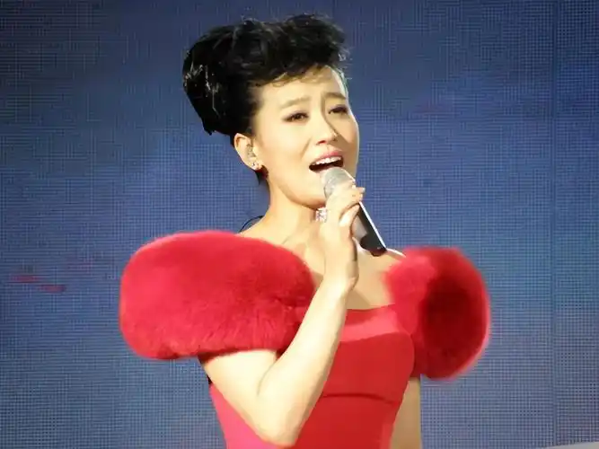 回顾谭晶我这辈子正确的决定就是为科学家丈夫生一对双胞胎