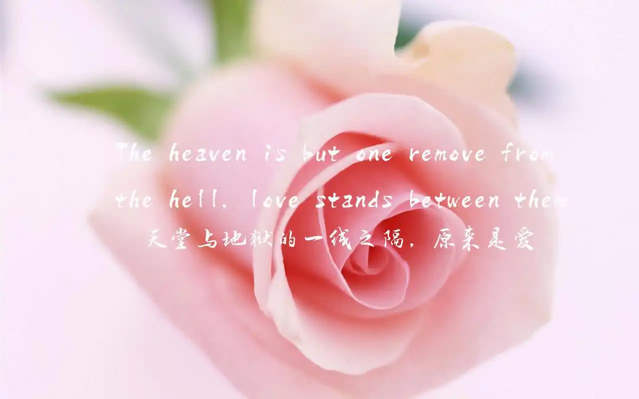 文字控唯美小清新宽屏桌面壁纸