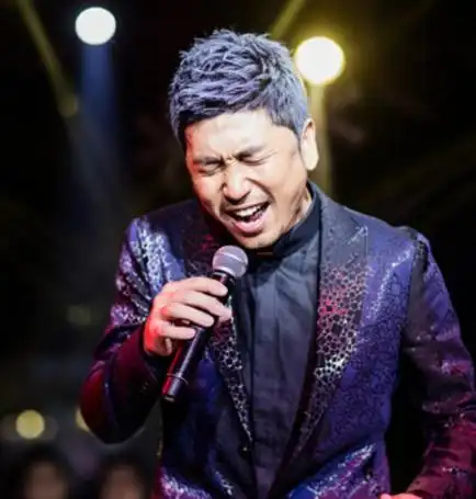 图沙宝亮在蒙面歌王上唱的歌叫什么流浪者成无冕之王