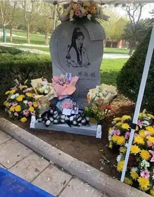 周海媚身后人财两安详,梅艳芳至今不得安宁,不被爱的孩子有多苦