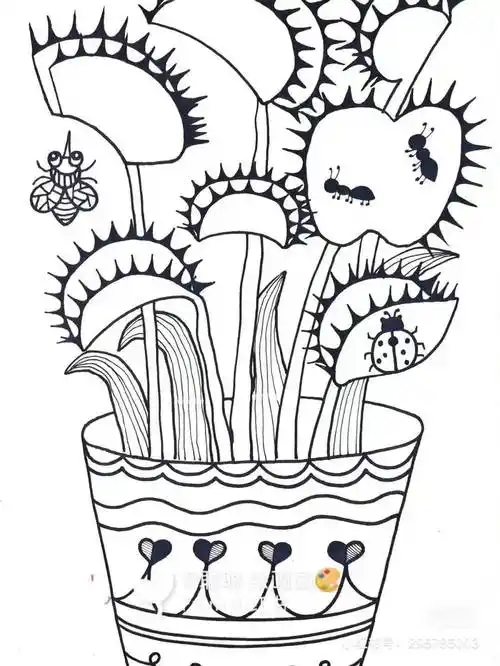 50种创意线描,用简单的笔画出超精美的画作,颜值好看又耐看_线条