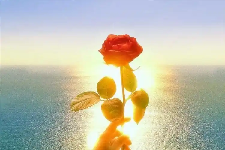 形容心情好的句子20句,精挑细选,句句暖心