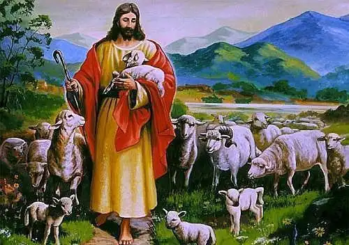 爱的回报耶稣是出色的牧羊人甘愿为羊群献出生命