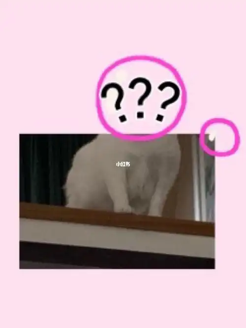 只看这么多大概觉得是个什么生物