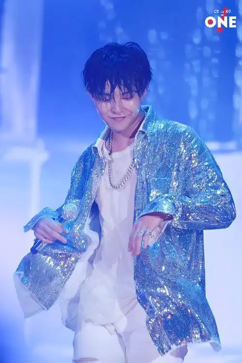 收藏所有权志龙.