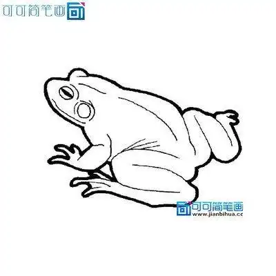 简笔画青蛙睡姿