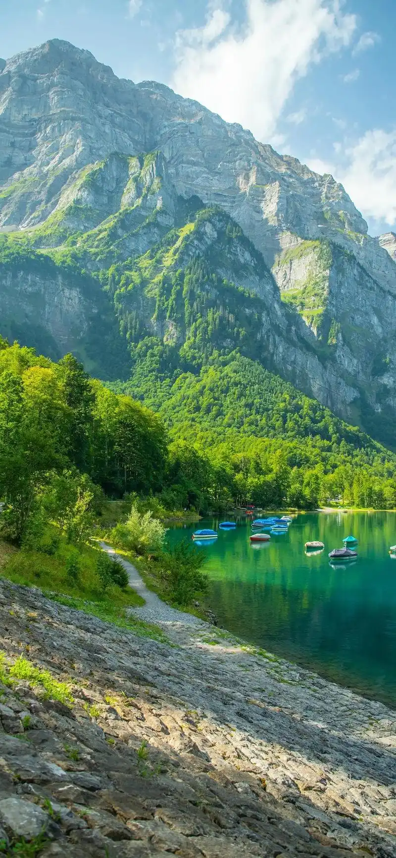 绿水青山#手机壁纸 #一起享受大自然的美 - 抖音