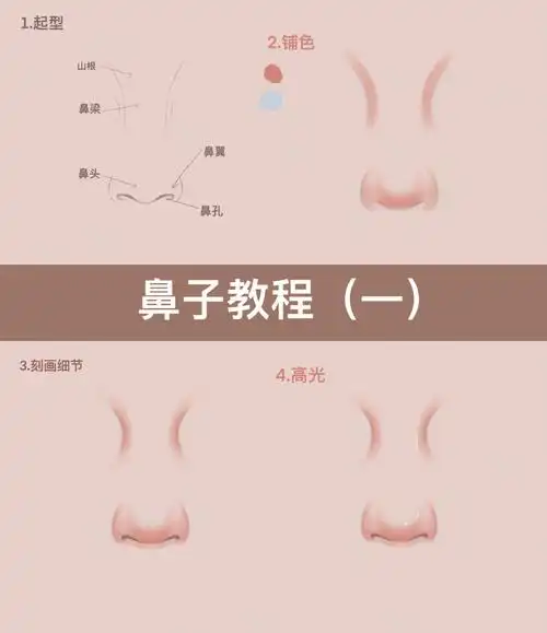 procreate鼻子画法附详细步骤鼻子教程
