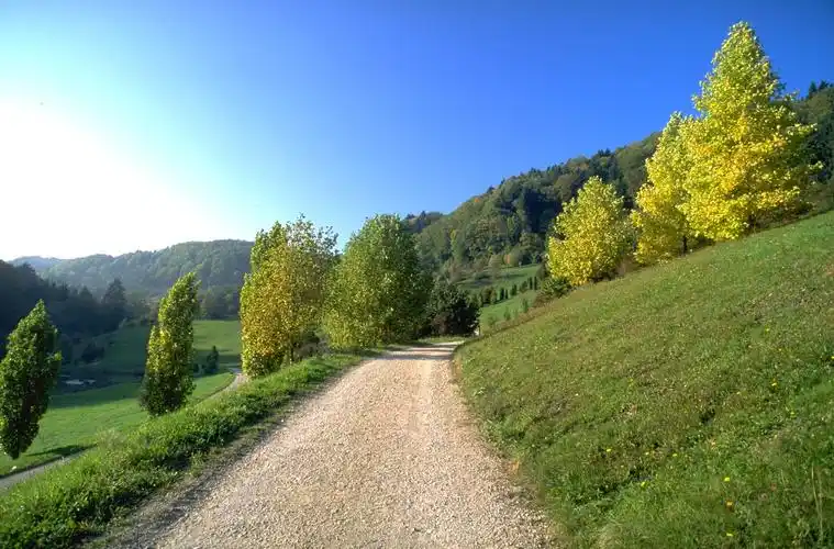 中国photoshop资源网 ps素材 ps素材 风景如画 草木森林 >> 正文