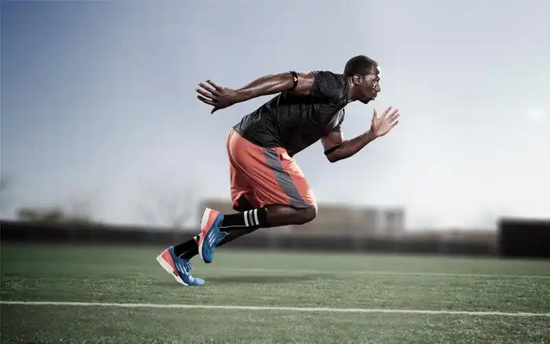 运动美女体育合集图片壁纸下载