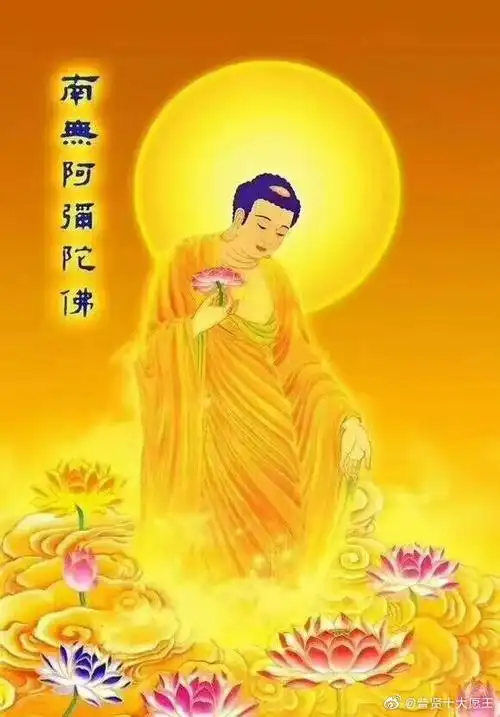 阿弥陀佛身金色,相好光明无等伦白毫宛. 来自普贤十大愿王 - 微博