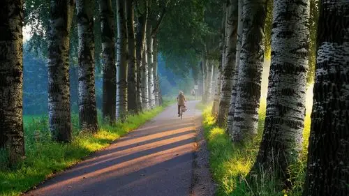 2020-06-16壁纸标签:护眼壁纸封面图护眼壁纸【404】壁纸于2020-06-16