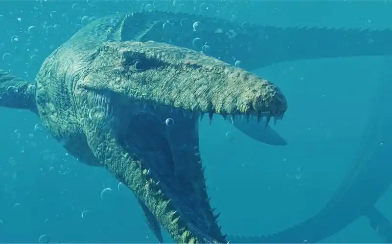 中生代海洋里最大的顶级掠食者霍夫曼沧龙mosasaurushoffmanni