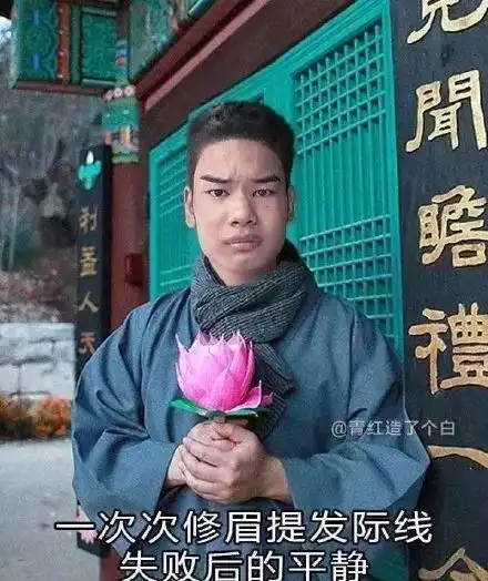 发际线男孩表情包大全_发际线男孩是什么梗 - 环球手游网