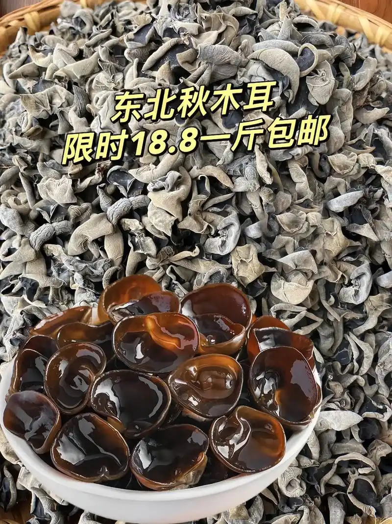捡便宜买的东北秋木耳,品质真是的太好了!