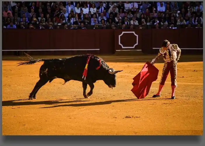 一场经典的西班牙斗牛(待续中)