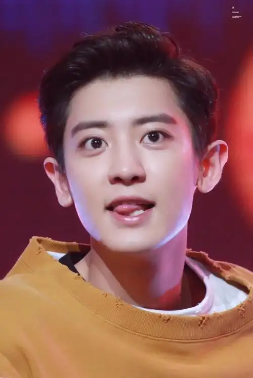 exo 朴灿烈 chanyeol 170914 mcd《power》打歌