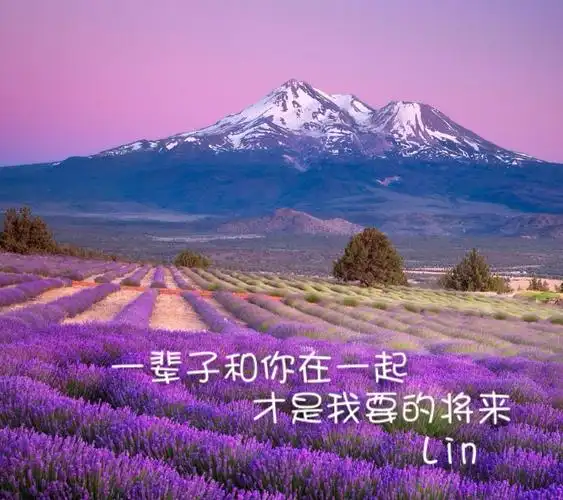 唯美文字语录 第10帖 情感 治愈 文字 句子 壁纸 唯美 成长之路 愿