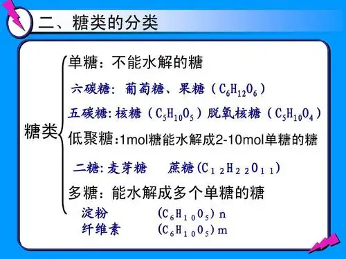 《第二节 糖类》ppt课件
