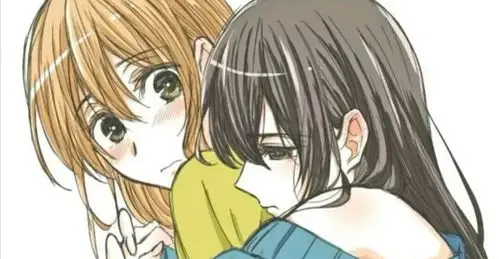 专属柑橘味香气—citrus