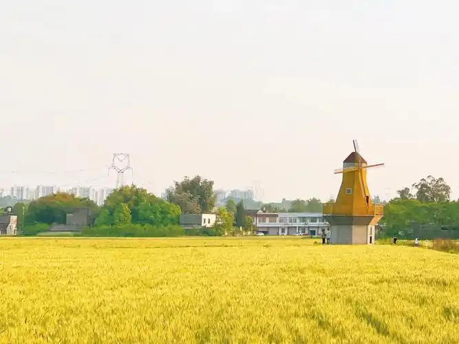 春日的麦田七彩乡村画廊