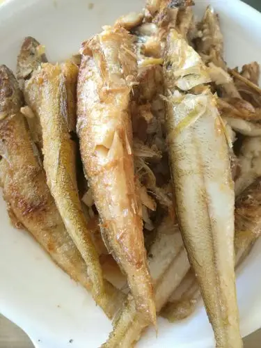 休闲农庄) 写美篇嘉美源海滨休闲农庄位于广西钦州市犀牛角镇沙角村