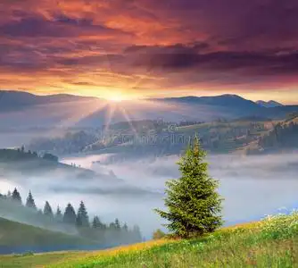 雾蒙蒙的夏季山上日出照片