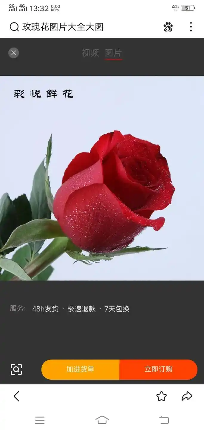 13:32玫瑰花图片大全大图视频图片彩 悦鲜花服务:48h发 - 抖音