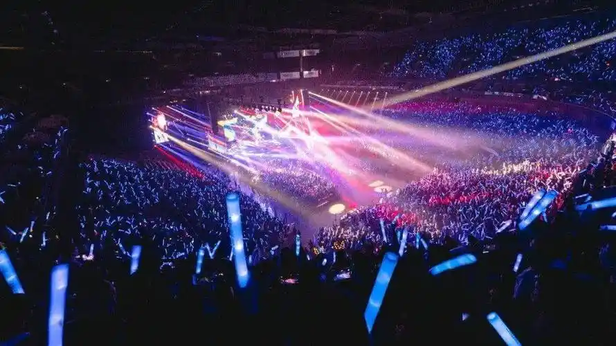 今年国内的观众还创造了非常多有趣的演唱会群体文化