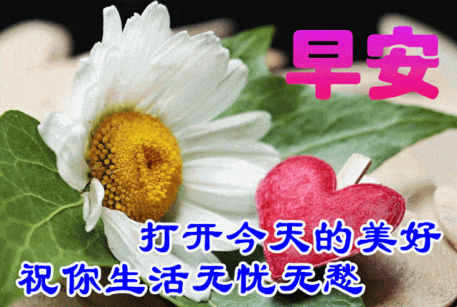 11月25日最漂亮早上好动态表情图片大全早晨好动图美图大全