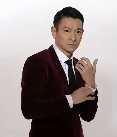 在观众心目中,她唯一的身份就是刘德华的妻子.