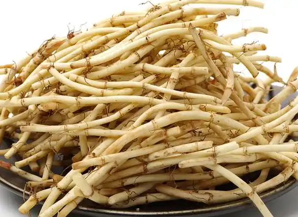 "中药抗生素"的鱼腥草不仅营养价值高,还有肺部清洁工的称号!