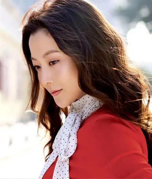 金喜善不仅有实力,最主要的还是有颜值,作为韩国非常突出的女演员
