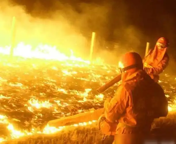 蒙古国前有羊中有沙尘后火星四溅飙中国火源来自哪里