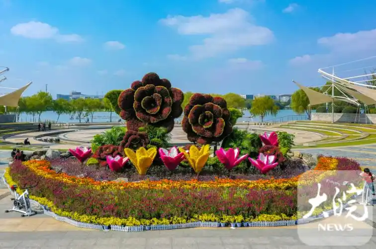 "颜值"爆表 合肥这22处花展"榜上有名"_腾讯新闻