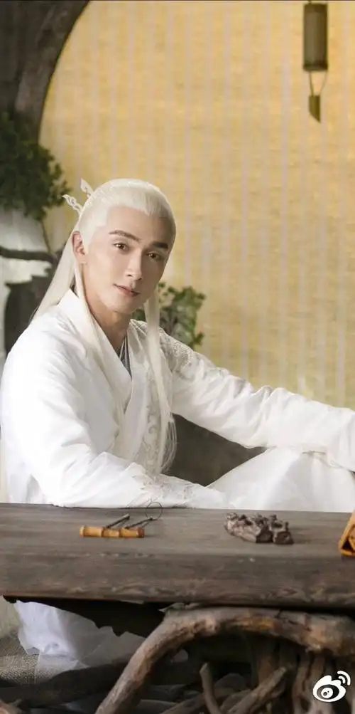 三生三世枕上书～高伟光