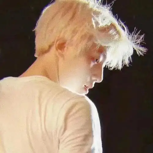 边伯贤绝美头像3