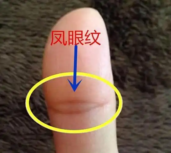 这种手相特征之人,注定事业成功,不富则贵