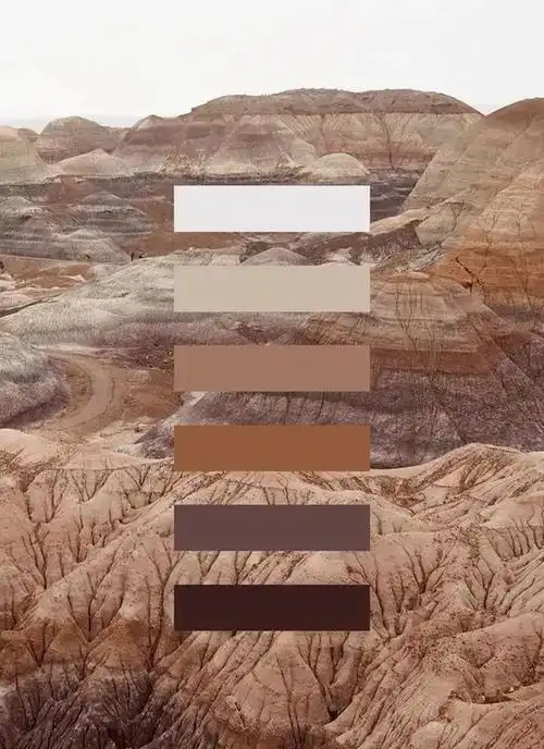 大地色系的家温暖从容气度