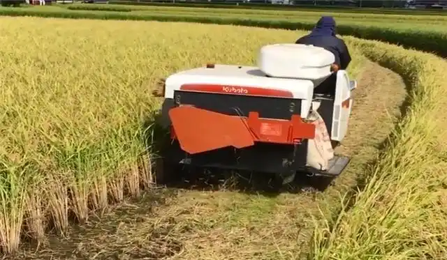 日本发明小型水稻收割机,收割打包一次成型,一天收割20亩地