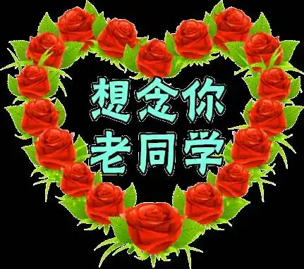 同学们早!同学们好!