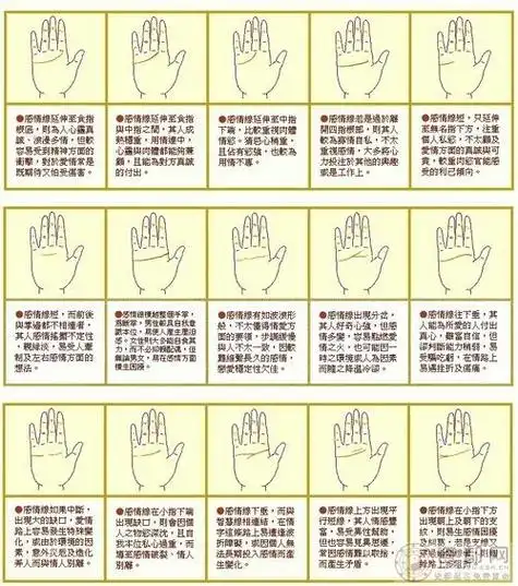 延伸到食指与中指缝的线纹感情线主要代表个人的感情个性爱情和婚姻