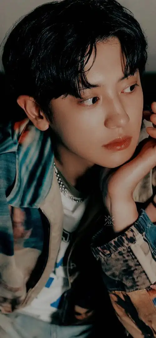 一组exo成员朴灿烈手机壁纸集