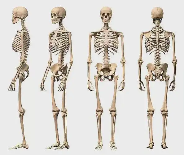 吃人的印度人骨交易:死人比活人更值钱|达芬奇|尸体